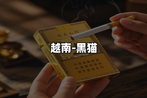 越南黑猫